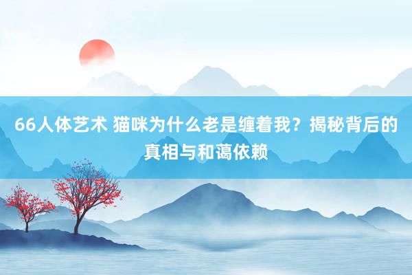 66人体艺术 猫咪为什么老是缠着我？揭秘背后的真相与和蔼依赖
