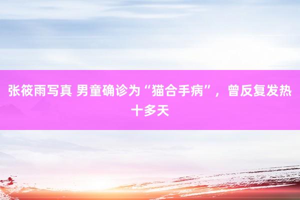 张筱雨写真 男童确诊为“猫合手病”，曾反复发热十多天