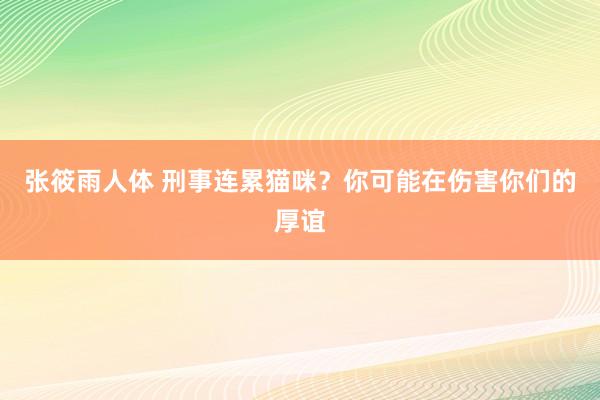 张筱雨人体 刑事连累猫咪？你可能在伤害你们的厚谊