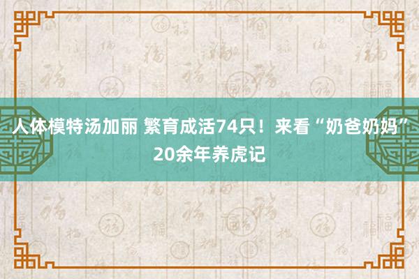 人体模特汤加丽 繁育成活74只！来看“奶爸奶妈”20余年养虎记