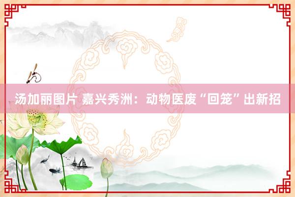汤加丽图片 嘉兴秀洲：动物医废“回笼”出新招