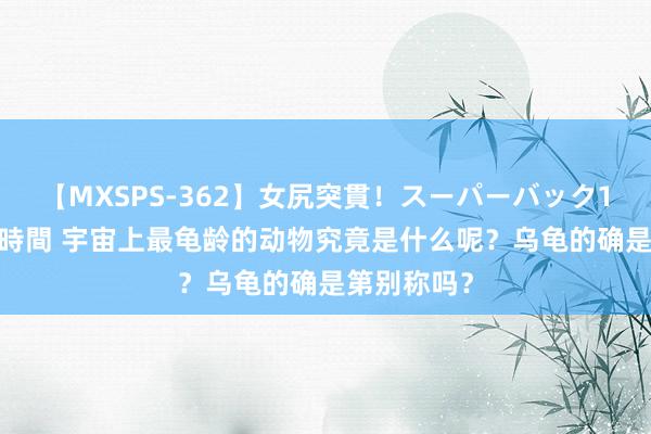 【MXSPS-362】女尻突貫！スーパーバック100本番10時間 宇宙上最龟龄的动物究竟是什么呢？乌龟的确是第别称吗？