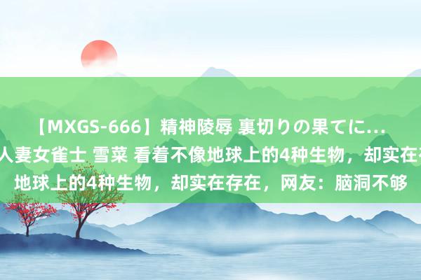 【MXGS-666】精神陵辱 裏切りの果てに… 後編 ～性奴隷契約～ 人妻女雀士 雪菜 看着不像地球上的4种生物，却实在存在，网友：脑洞不够