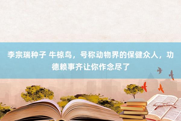 李宗瑞种子 牛椋鸟，号称动物界的保健众人，功德赖事齐让你作念尽了