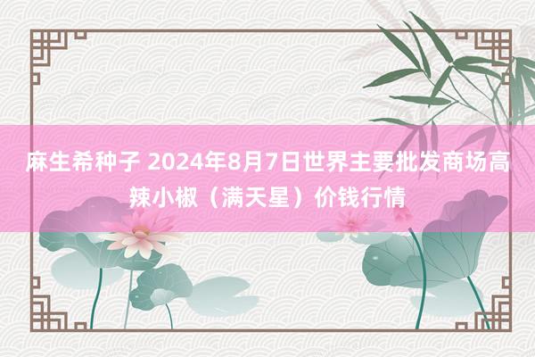 麻生希种子 2024年8月7日世界主要批发商场高辣小椒（满天星）价钱行情