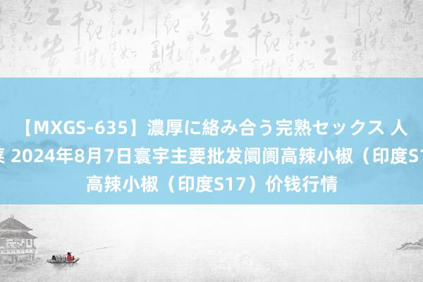 【MXGS-635】濃厚に絡み合う完熟セックス 人妻女雀士 雪菜 2024年8月7日寰宇主要批发阛阓高辣小椒（印度S17）价钱行情