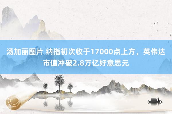 汤加丽图片 纳指初次收于17000点上方，英伟达市值冲破2.8万亿好意思元