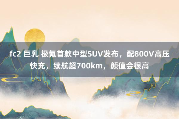 fc2 巨乳 极氪首款中型SUV发布，配800V高压快充，续航超700km，颜值会很高