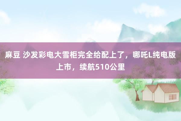麻豆 沙发彩电大雪柜完全给配上了，哪吒L纯电版上市，续航510公里