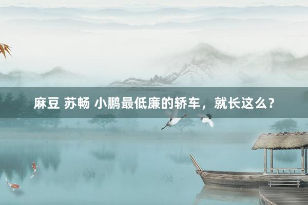 麻豆 苏畅 小鹏最低廉的轿车，就长这么？