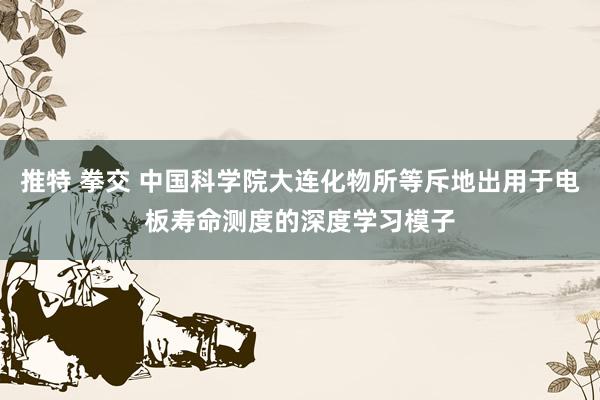 推特 拳交 中国科学院大连化物所等斥地出用于电板寿命测度的深度学习模子