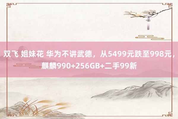 双飞 姐妹花 华为不讲武德，从5499元跌至998元，麒麟990+256GB+二手99新