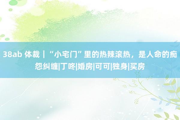 38ab 体裁｜“小宅门”里的热辣滚热，是人命的痴怨纠缠|丁咚|婚房|可可|独身|买房