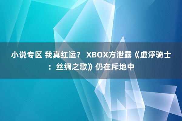 小说专区 我真红运？ XBOX方泄露《虚浮骑士：丝绸之歌》仍在斥地中