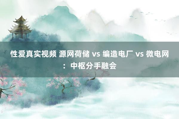 性爱真实视频 源网荷储 vs 编造电厂 vs 微电网：中枢分手融会