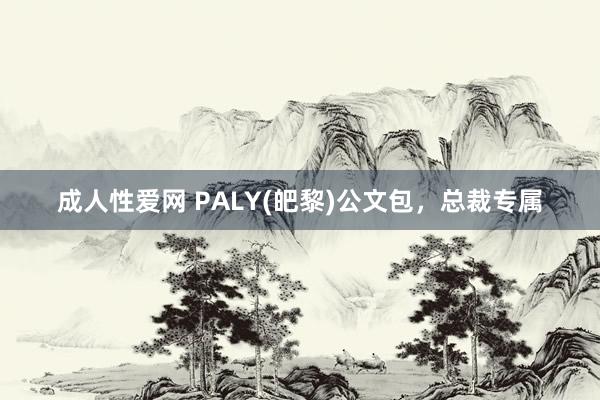 成人性爱网 PALY(皅黎)公文包，总裁专属