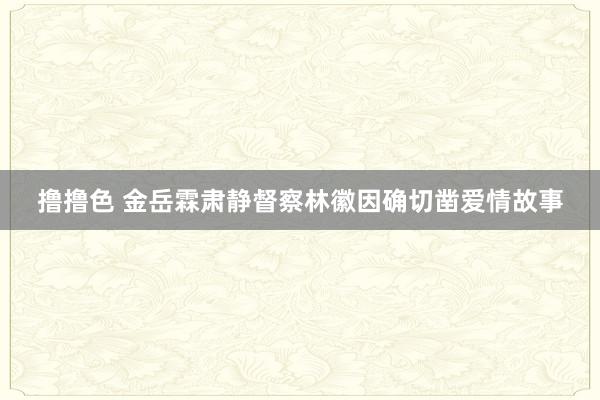 撸撸色 金岳霖肃静督察林徽因确切凿爱情故事