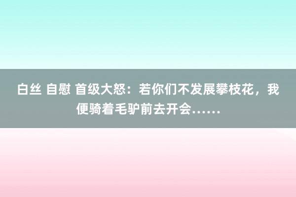 白丝 自慰 首级大怒：若你们不发展攀枝花，我便骑着毛驴前去开会……