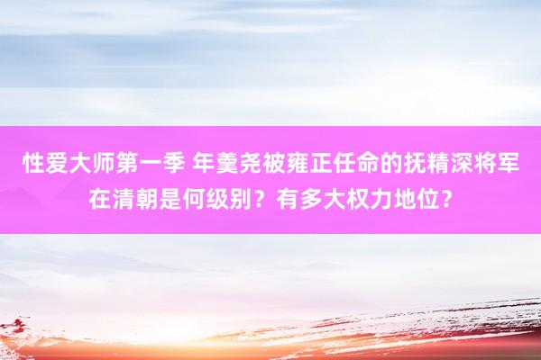 性爱大师第一季 年羹尧被雍正任命的抚精深将军在清朝是何级别？有多大权力地位？