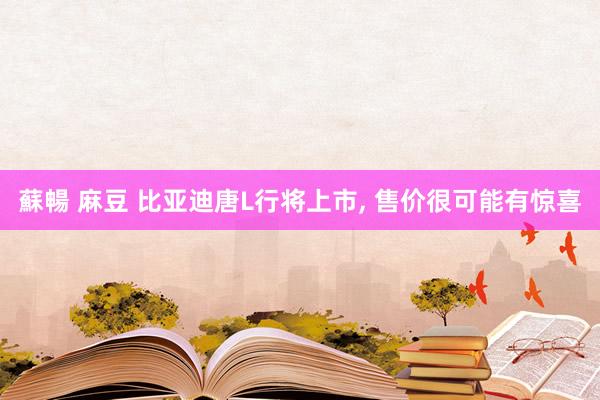 蘇暢 麻豆 比亚迪唐L行将上市, 售价很可能有惊喜