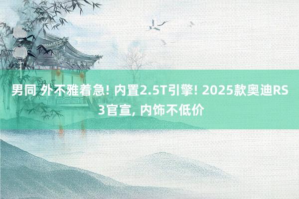男同 外不雅着急! 内置2.5T引擎! 2025款奥迪RS 3官宣, 内饰不低价