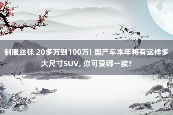 制服丝袜 20多万到100万! 国产车本年将有这样多大尺寸SUV, 你可爱哪一款?