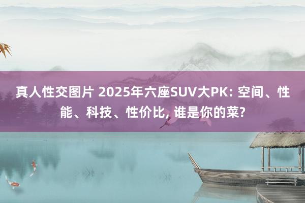 真人性交图片 2025年六座SUV大PK: 空间、性能、科技、性价比, 谁是你的菜?