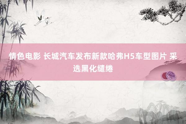 情色电影 长城汽车发布新款哈弗H5车型图片 采选黑化缱绻