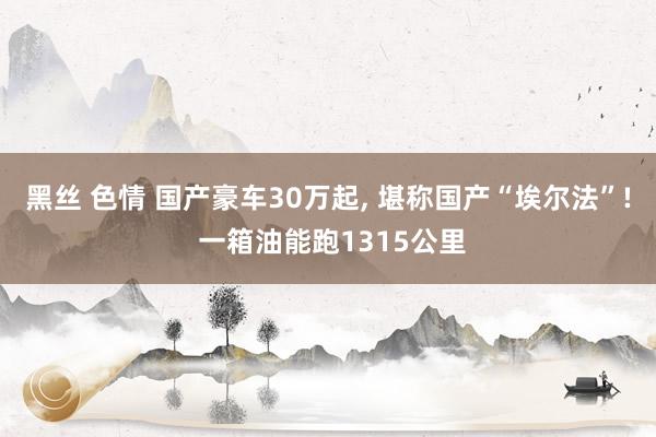 黑丝 色情 国产豪车30万起, 堪称国产“埃尔法”! 一箱油能跑1315公里