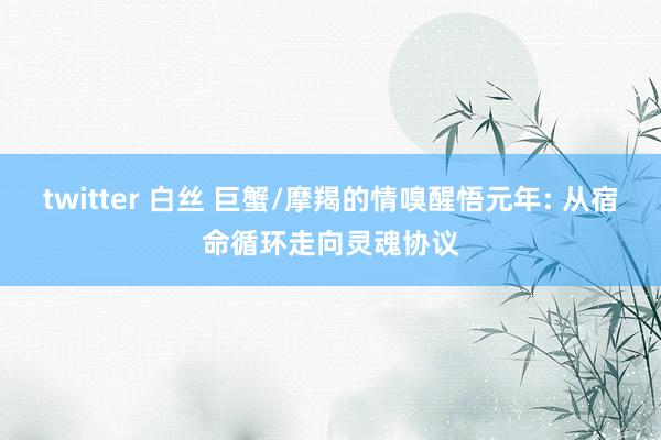 twitter 白丝 巨蟹/摩羯的情嗅醒悟元年: 从宿命循环走向灵魂协议